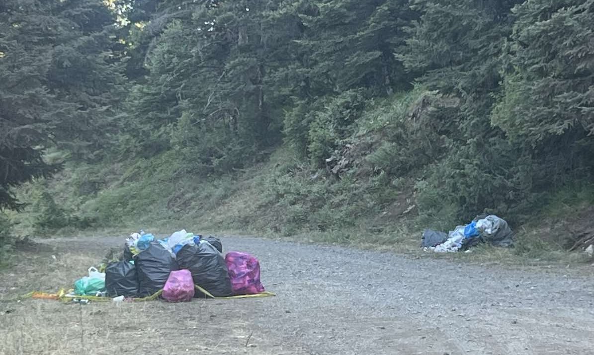 Καλό το Rally Acropolis! Αλλά η επόμενη μέρα δεν ήταν τόσο καλή!