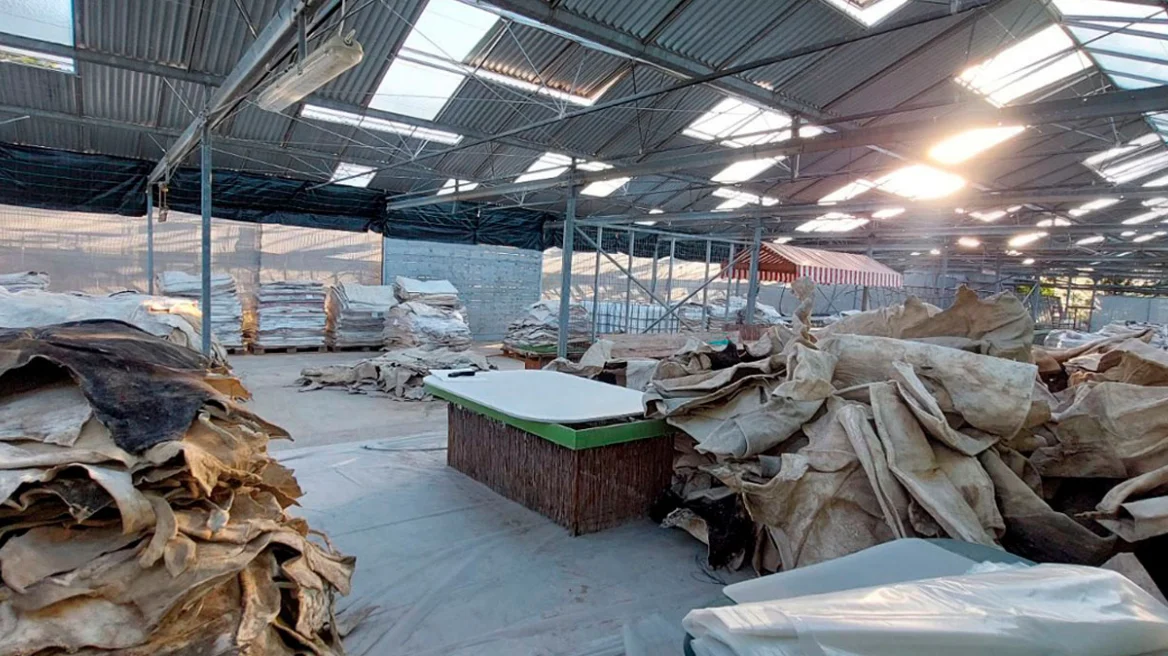 Επιχείρηση της ΕΛΑΣ σε σπίτι-εργοστάσιο ναρκωτικών στα νότια προάστια - Έβγαζαν κοκαΐνη από εμποτισμένα δέρματα