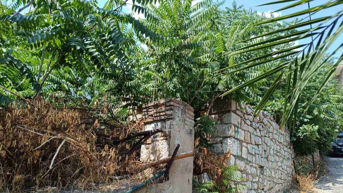 Τελικά πως θα βγάλουμε άκρη με τα ακαθάριστα οικόπεδα μέσα στην πόλη?