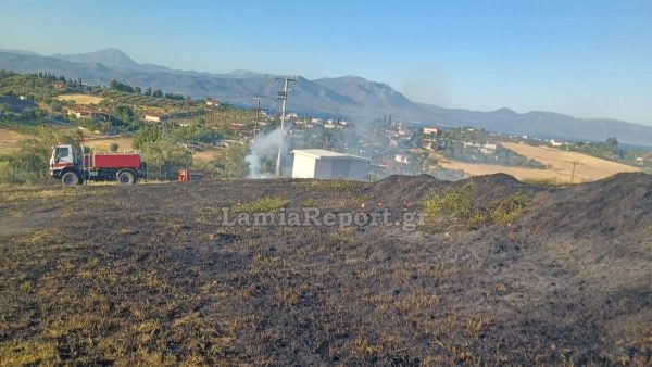 Υπό έλεγχο η πυρκαγιά στη Λάρυμνα
