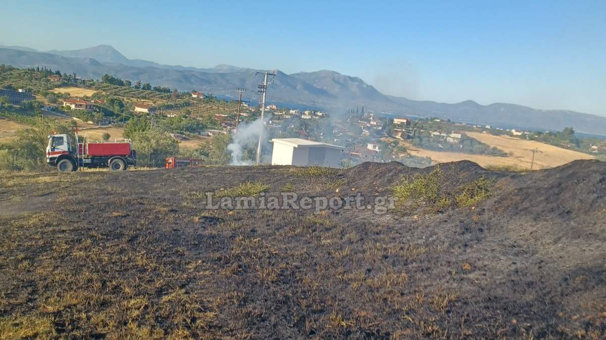 Υπό έλεγχο η πυρκαγιά στη Λάρυμνα