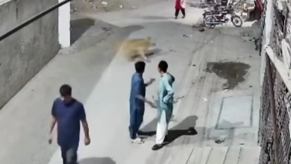 Πακιστάν: Βίντεο από τη στιγμή που λιοντάρι ξεφεύγει από τους ιδιοκτήτες του και ορμά σε γυναίκα και παιδί