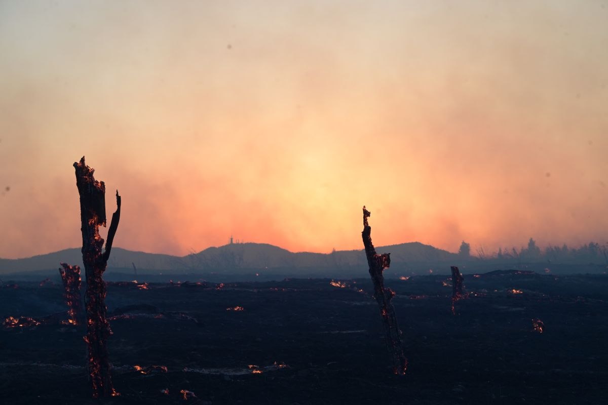 Κώστας Συνολάκης: Πρέπει να μάθουμε να ζούμε με τις πυρκαγιές – Αν δεν δράσουμε τοπικά, οι φωτιές θα μας ξεπερνούν