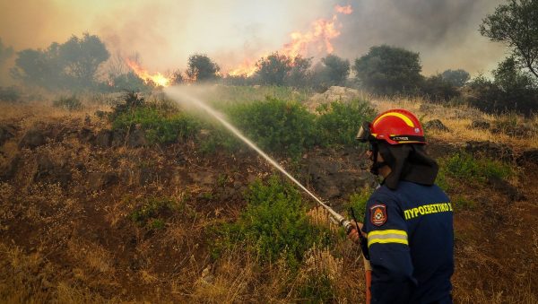 Πυρκαγιά το πρωί πάνω από το Λιμογάρδι - Σηκώθηκαν και τα PZL από το αεροδρόμιο της Λαμίας