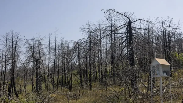 Νέες συλλήψεις στην Εύβοια για πρόκληση πυρκαγιάς