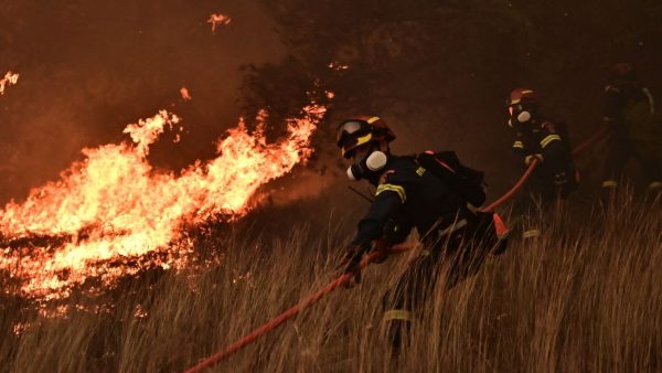 Μία σύλληψη για την καταστροφική πυρκαγιά στο Ασπροχώρι