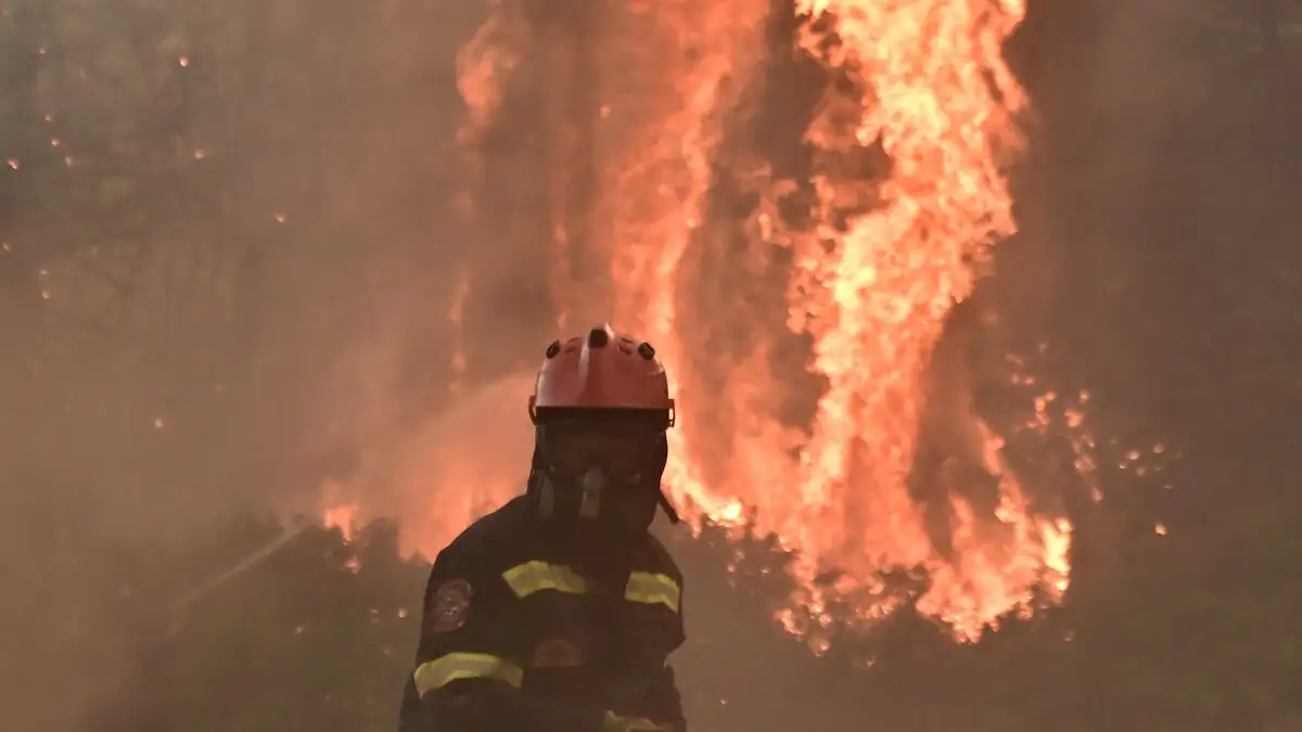 ΥΠΑΑΤ: Δεν απαιτείται καταβολή τελών εκτίμησης από τους πυρόπληκτους παραγωγούς