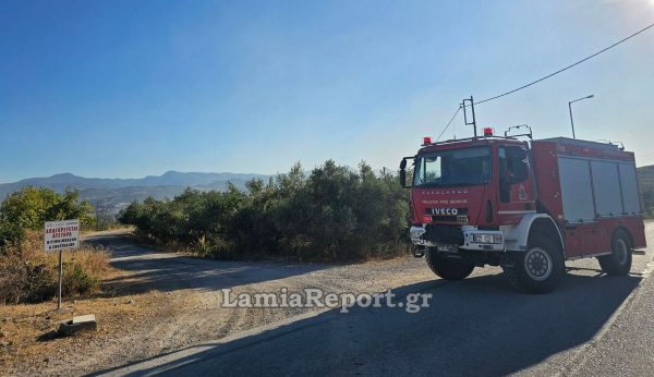Στερεά: Νέα πρόστιμα και συλλήψεις πριν την έναρξη της αντιπυρικής περιόδου - Τρομάζουν τα νούμερα