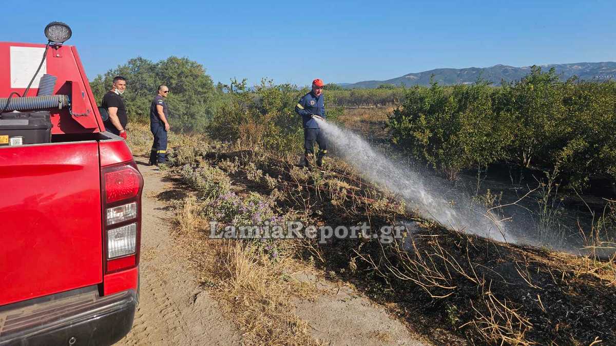 Νέα πυρκαγιά το πρωί έξω από τη Λαμία (ΦΩΤΟ)