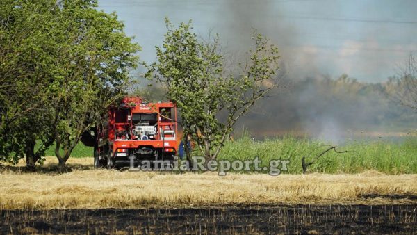 Λαμία: Βαρύ πρόστιμο σε αλλοδαπό για φωτιά σε χωράφι