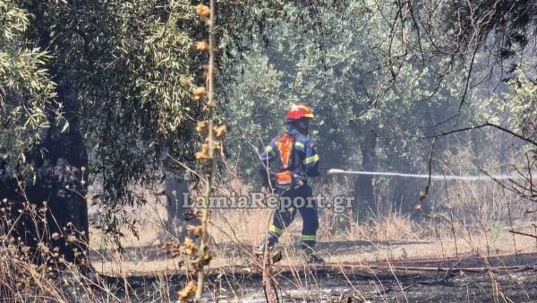 Στον ανακριτή σήμερα ο άνδρας που συνελήφθη για την πυρκαγιά στην Εύβοια