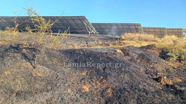 Ξεκινούν οι αιτήσεις αποζημίωσης των επιχειρήσεων που επλήγησαν από την πυρκαγιά στην Κ. Εύβοια