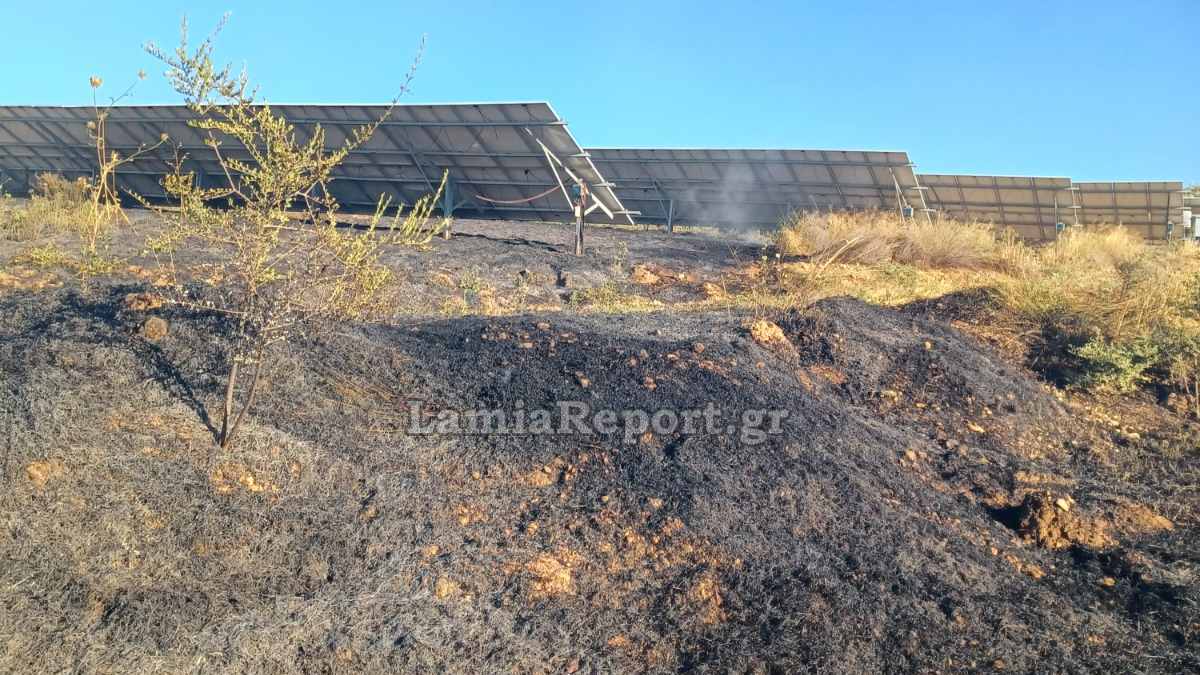 Ξεκινούν οι αιτήσεις αποζημίωσης των επιχειρήσεων που επλήγησαν από την πυρκαγιά στην Κ. Εύβοια