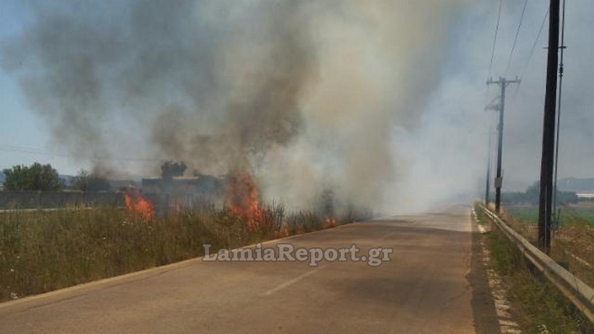Πυρκαγιά στον παράδρομο της εθνικής οδού στη Θήβα