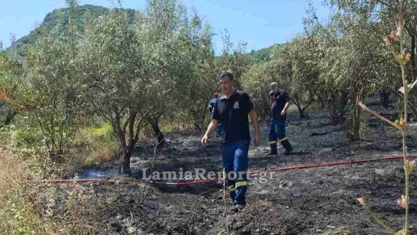 Πρόλαβαν επικίνδυνη πυρκαγιά πάνω από το Γοργοπόταμο - Σηκώθηκαν αεροπλάνα και ελικόπτερα (ΦΩΤΟ)