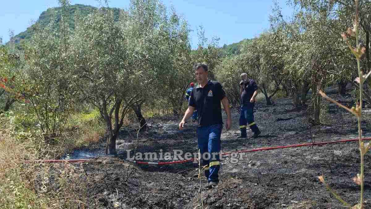 Πρόλαβαν επικίνδυνη πυρκαγιά πάνω από το Γοργοπόταμο - Σηκώθηκαν αεροπλάνα και ελικόπτερα (ΦΩΤΟ)