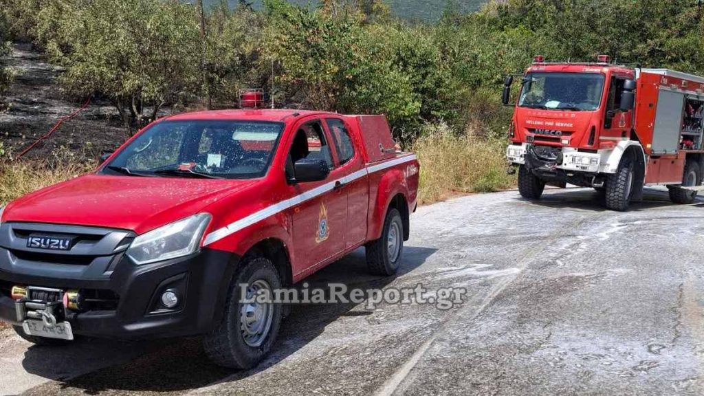 Συλλήψεις και πρόστιμο για εμπρησμούς από αμέλεια σε Φθιώτιδα και Εύβοια