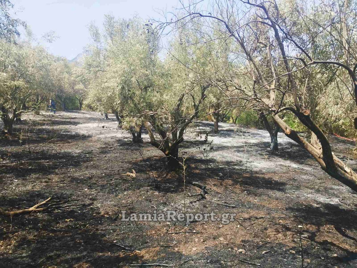 Πρόστιμο σε Λαμιώτη για φωτιά σε υπολείμματα καλλιεργειών