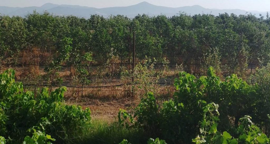 Πωλείται οικόπεδο στο Κόμμα