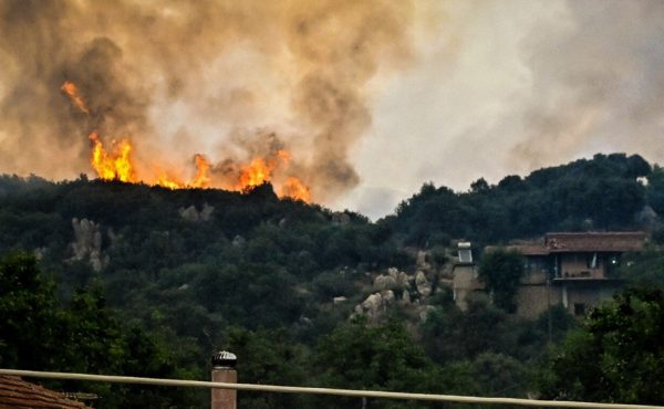 Φωτιά στον Φενεό: «Η σημαντικότερη μέχρι στιγμής οικολογική καταστροφή της φετινής αντιπυρικής περιόδου»