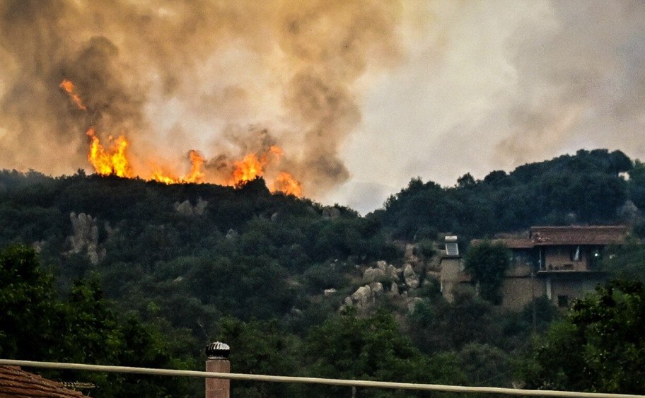 Φωτιά στον Φενεό: «Η σημαντικότερη μέχρι στιγμής οικολογική καταστροφή της φετινής αντιπυρικής περιόδου»