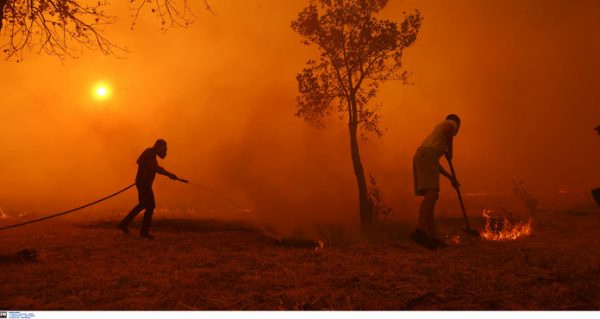 Meteo: Στάχτη 41.959 στρέμματα σε Κρυονέρι Αττικής, Κύθηρα και Εύβοια – Δείτε δορυφορικές εικόνες