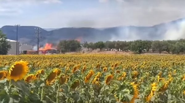 Μήνυμα από το 112 για τη φωτιά στο Νέο Σούλι Σερρών - Στις φλόγες εργοστάσιο ξυλείας