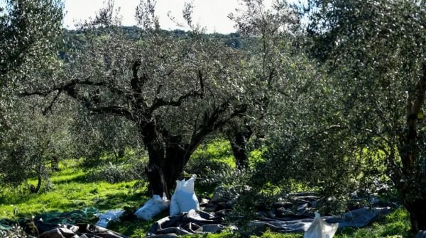 ΟΠΕΚΕΠΕ: Νέοι διάλογοι με «γαλλικά» και αναφορές σε Κέλλα και Βορίδη