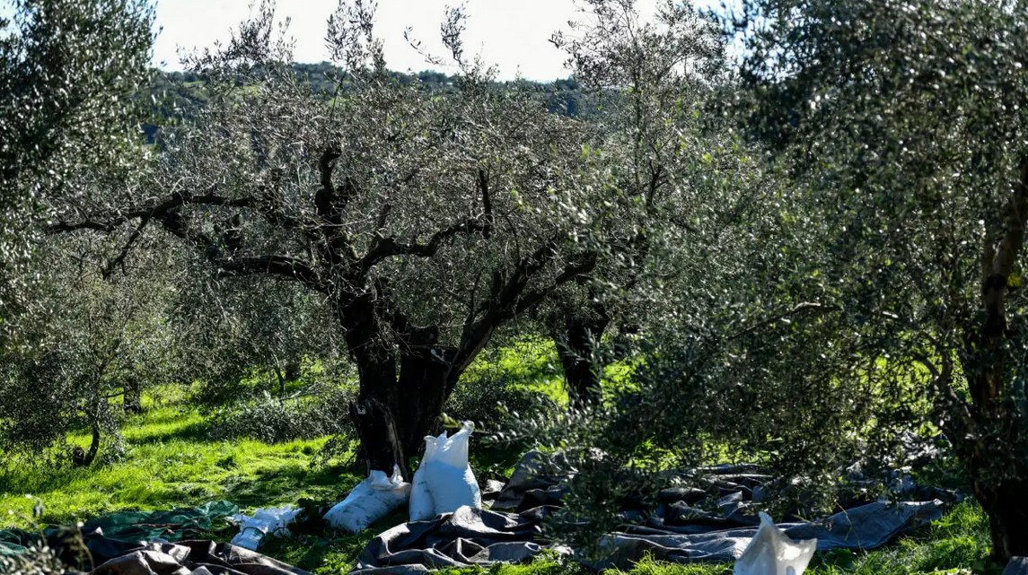 ΟΠΕΚΕΠΕ: Νέοι διάλογοι με «γαλλικά» και αναφορές σε Κέλλα και Βορίδη