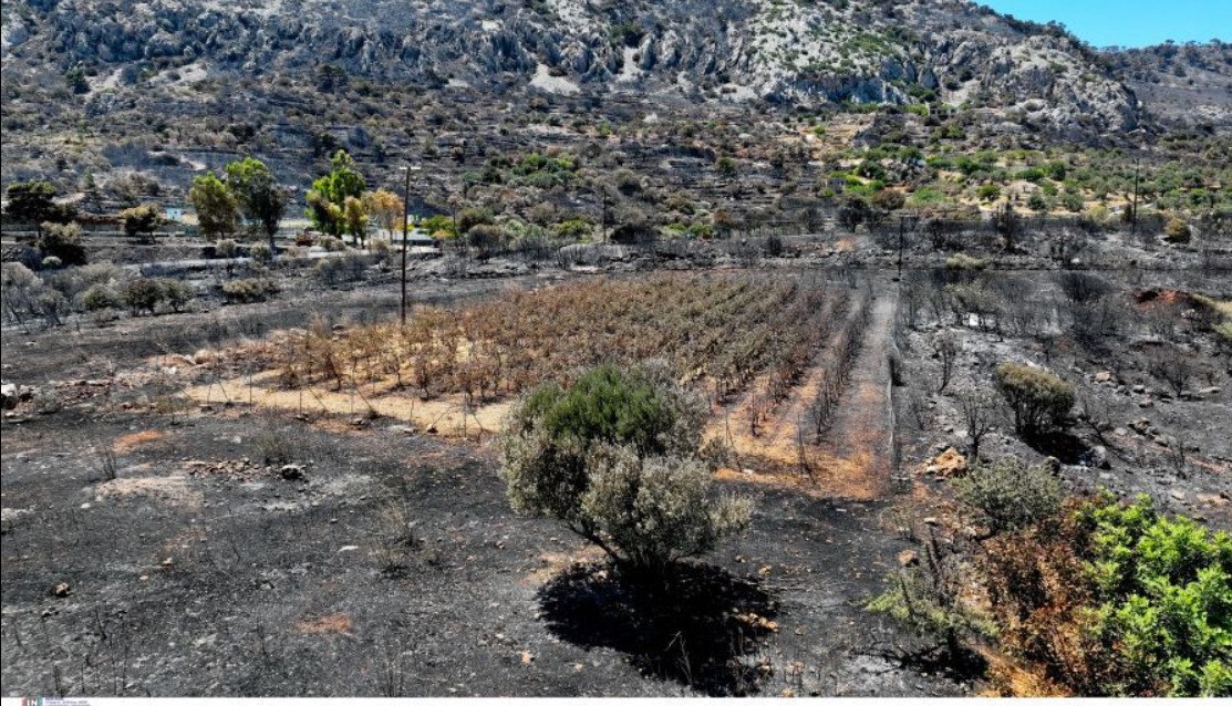 Δικογραφία για εμπρησμό σε βάρος άνδρα για τις φωτιές σε Άγιο Μακάριο και Άγιο Μάρκο στη Χίο