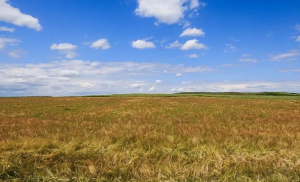 Νέες καταγγελίες για ΟΠΕΚΕΠΕ: Δεν αναγνώριζαν το οικόπεδο στον ιδιοκτήτη και την επιδότηση την έπαιρνε βοσκός «φάντασμα»