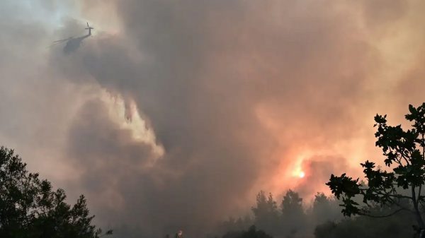 Πυρκαγιά στα Γρεβενά: Εκκενώθηκε καταφύγιο με 55 παιδιά – Καίγεται δάσος στη Σκάλα