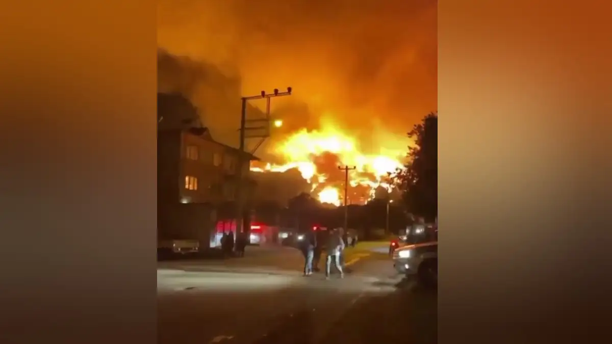 Φωτιά στην Τουρκία: Συγκλονιστικά βίντεο, οι φλόγες «κυκλώνουν» την Προύσα – Απομακρύνθηκαν 3.500 κάτοικοι