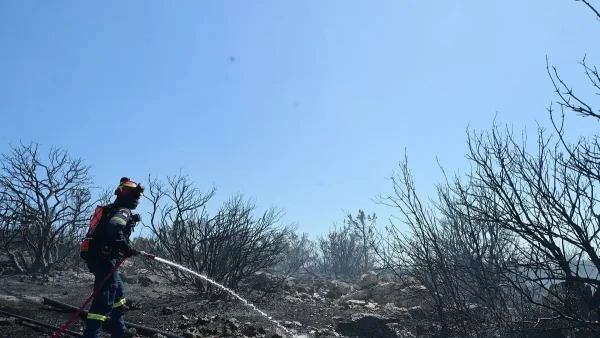 Δίπλα από αδήλωτα μελίσσια ξεκίνησε η μεγάλη φωτιά στον Υμηττό – Πρόστιμο και στον πρύτανη του ΕΚΠΑ για τις ακαθάριστες εγκαταστάσεις