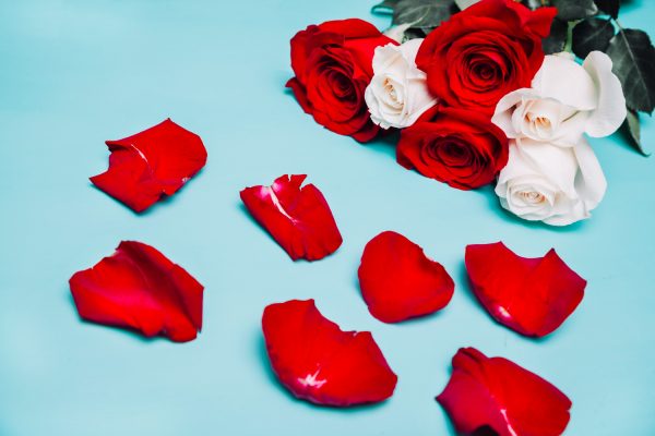 Τέσσερα βότανα «σύμμαχοι» της καρδιάς ρίχνουν τη χοληστερόλη, μειώνουν το στρες και διώχνουν τη θλίψη