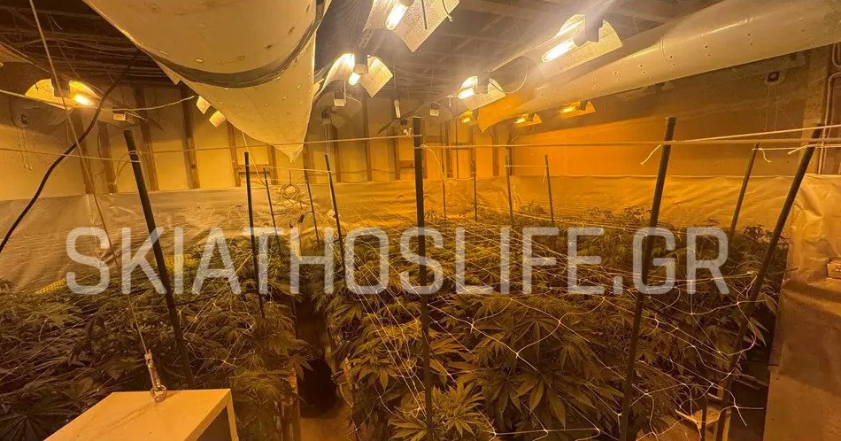 Συνελήφθη γνωστός επιχειρηματίας της Σκιάθου - Εμπλέκεται σε εγκληματική οργάνωση