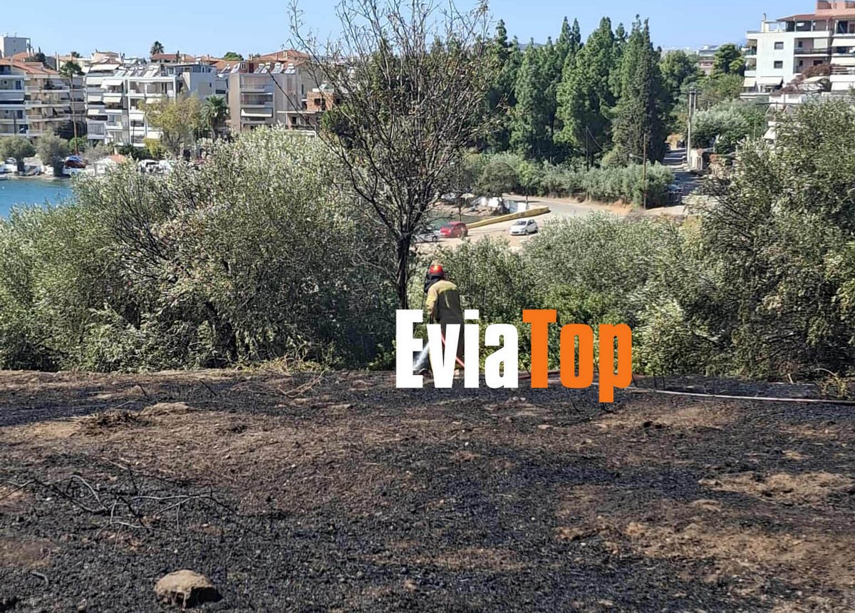 Ανήλικος έπαιζε με βεγγαλικά και έβαλε φωτιά στα χόρτα