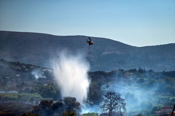 Κατεπείγουσα έρευνα για εμπρησμούς στην Ήπειρο – Παρέμβαση του Εισαγγελέα Εφετών Ιωαννίνων