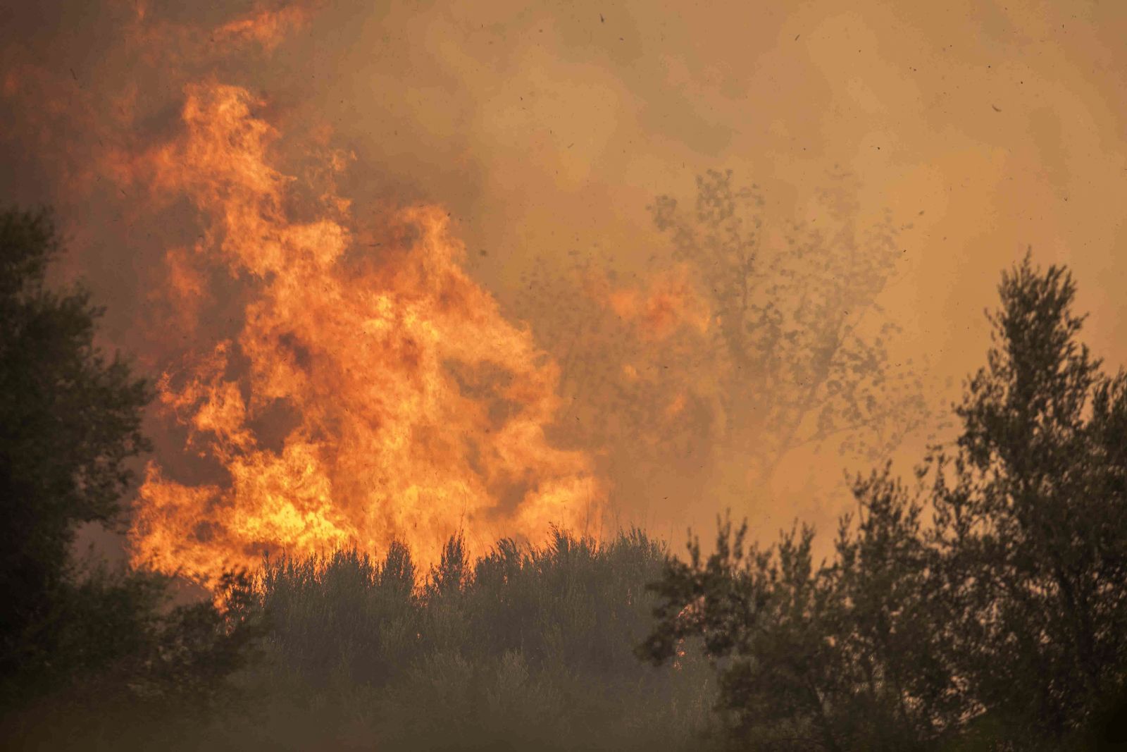 Ποιοι έβαλαν τις φωτιές τις τελευταίες ώρες - Τα στοιχεία που εξετάζουν οι Αρχές για εμπρησμούς