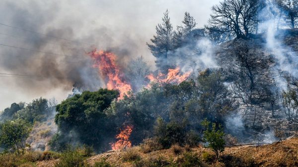 Πυρκαγιά σε δάσος στην Αργολίδα - Στη μάχη με τις φλόγες και έξι αεροσκάφη και ένα ελικόπτερο