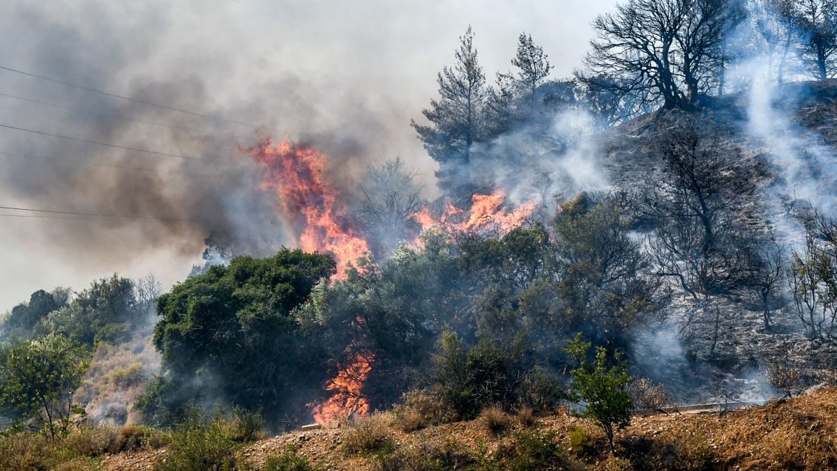 Πυρκαγιά σε δάσος στην Αργολίδα - Στη μάχη με τις φλόγες και έξι αεροσκάφη και ένα ελικόπτερο