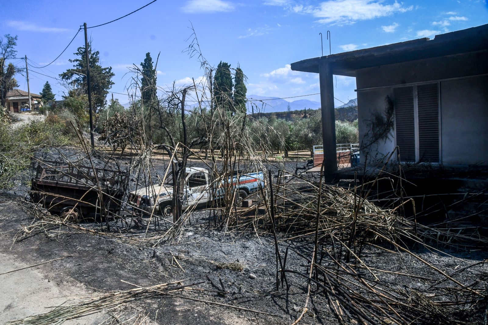 Φωτιές στην Αχαΐα: Αποζημίωση έως 6.000 ευρώ -Άξονας πέντε δράσεων για την αποκατάσταση των ζημιών
