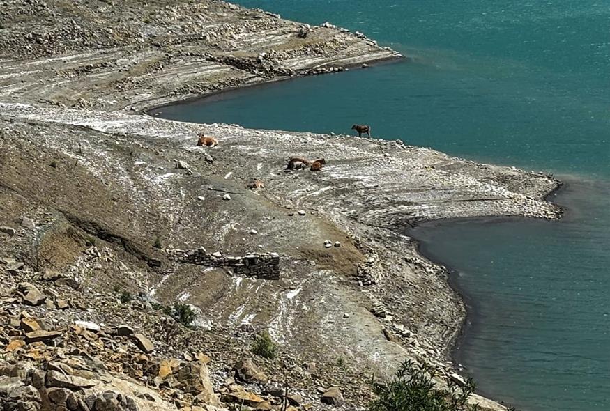Στεγνώνουν λίμνες και φράγματα από τη λειψυδρία στην Ελλάδα – Συναγερμός σε πολλές περιοχές