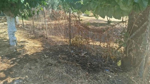 Δεκατριάχρονα παιδιά πίσω από τις πυρκαγιές στο Δήμο Ερέτριας