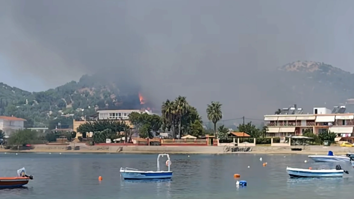 Φωτιά τώρα στη Μαούνη Ευβοίας - Σηκώθηκαν 6 εναέρια (ΒΙΝΤΕΟ)