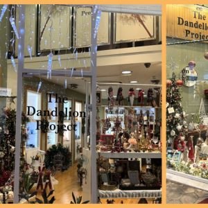 The Dandelion Project: Τα Χριστούγεννα στη Λαμία έχουν δικό τους άρωμα... μαγείας!