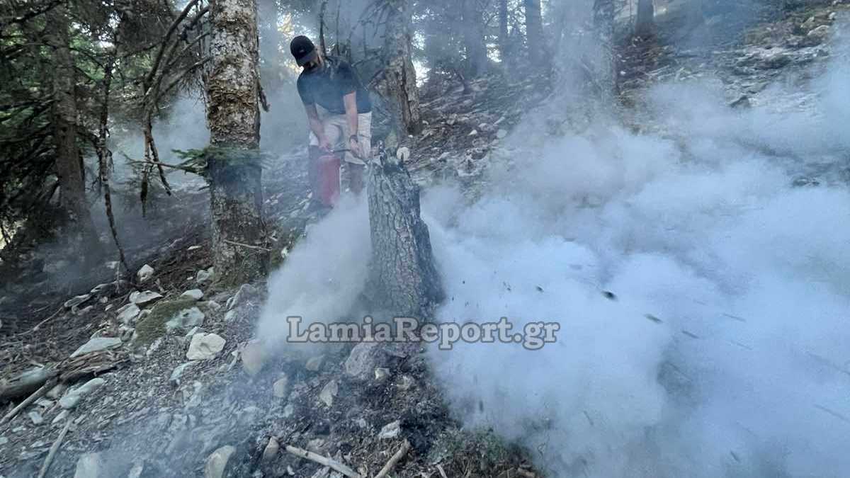 Φθιώτιδα: Με εναέρια μέσα και πυροσβεστήρες ελέγχθηκε άμεσα δασική πυρκαγιά - Δείτε εντυπωσιακές εικόνες