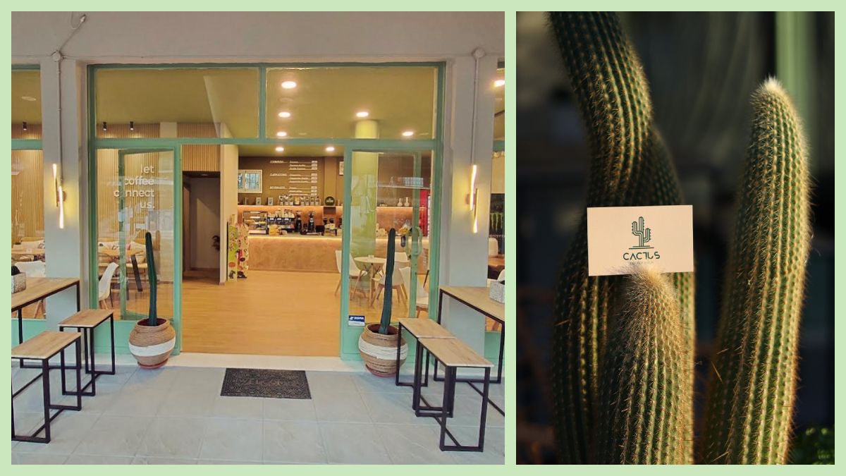 Cactus: Το cosy cafe στα Καλύβια Λαμίας θα γίνει το νέο σου στέκι!