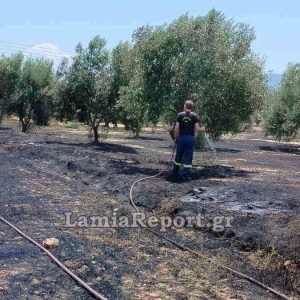 «Καταιγίδα» προστίμων από την Πυροσβεστική - Σε Φωκίδα, Κορινθία και Χίο