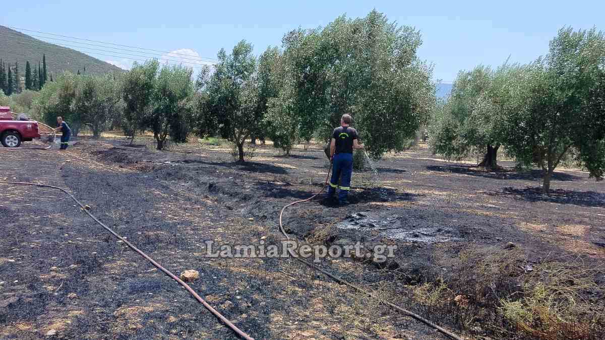 Συλλήψεις και πρόστιμα στη Στερεά για πυρκαγιές